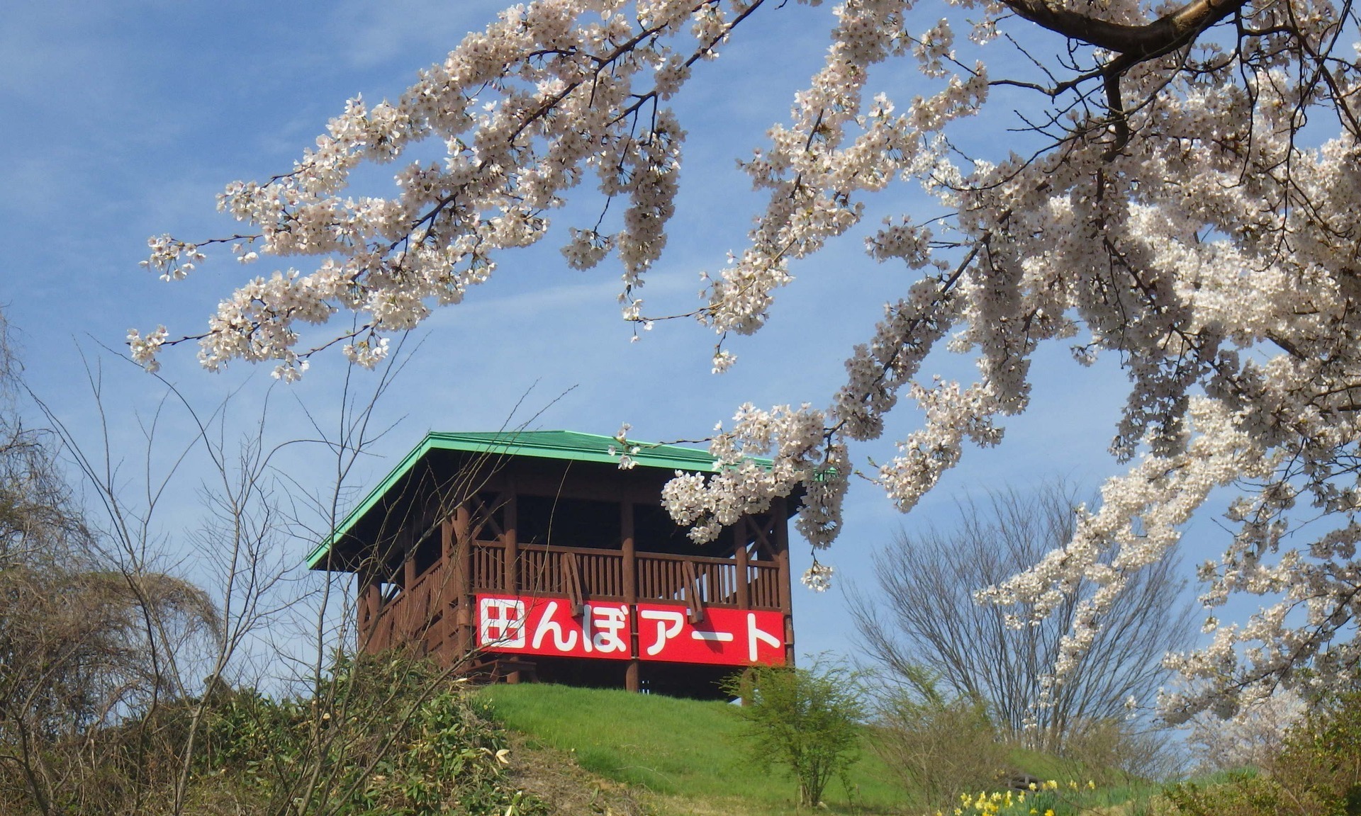 総合トップ｜八郎潟町