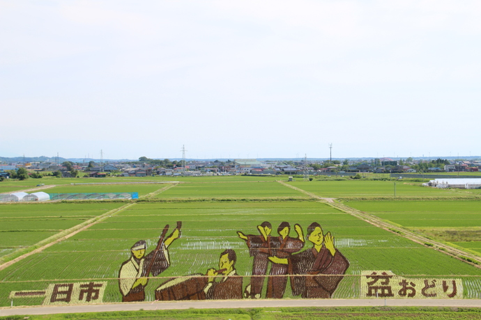 写真：塞ノ神公園の展望台からみた田んぼアート